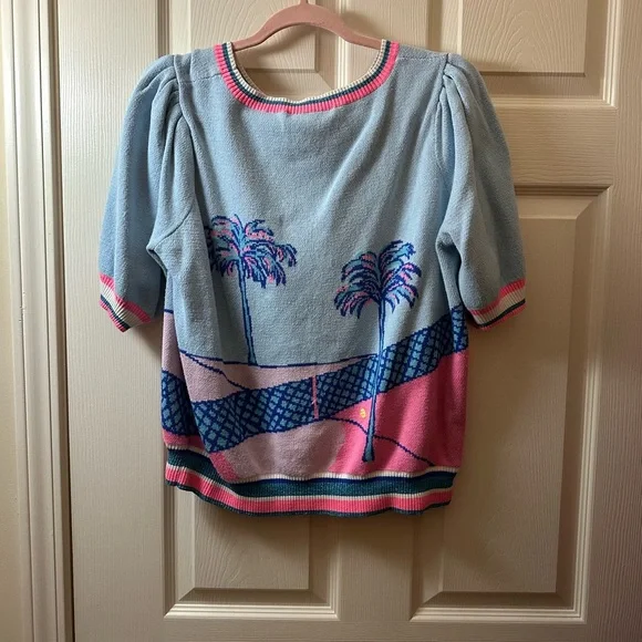 Lilly Pulitzer Blue and Pink Vivie Graphic Sweater - Picture 3 of 3